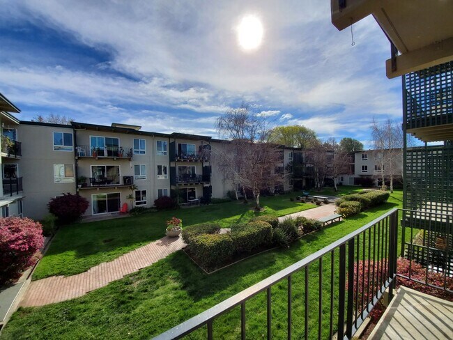 Building Photo - Southern Facing  1bd/ 1 bth apartment!
