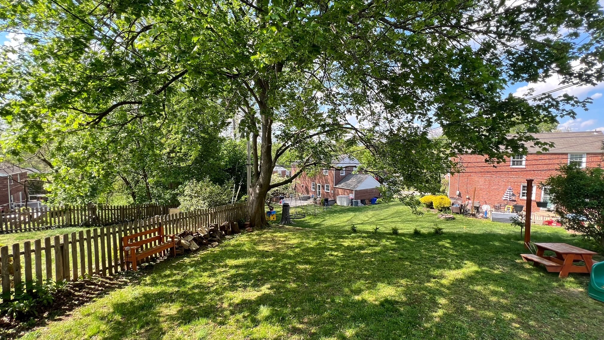 Backyard - 1643 Mount Pleasant Rd