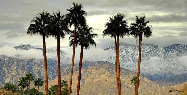 Building Photo - Palm Springs Villas#2, furnished,long term