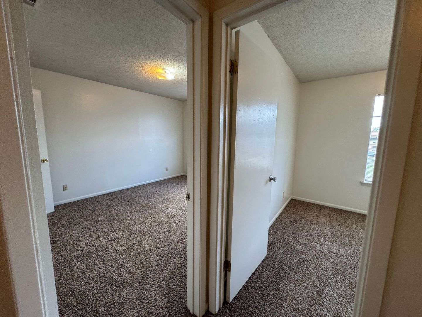 Building Photo - 4504 Chase Cir