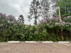Building Photo - 414 Maple Dr
