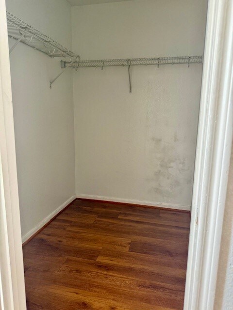 Building Photo - 2946 Paddock Brook Ln