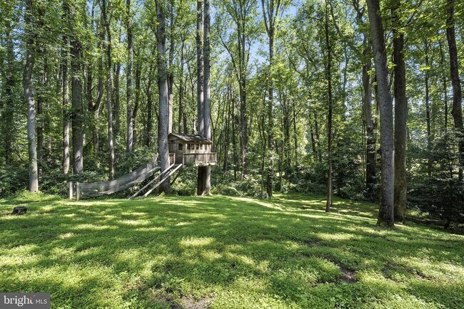 Building Photo - 10198 Cedar Pond Dr
