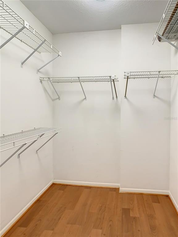 Building Photo - 2333 Feather Sound Dr