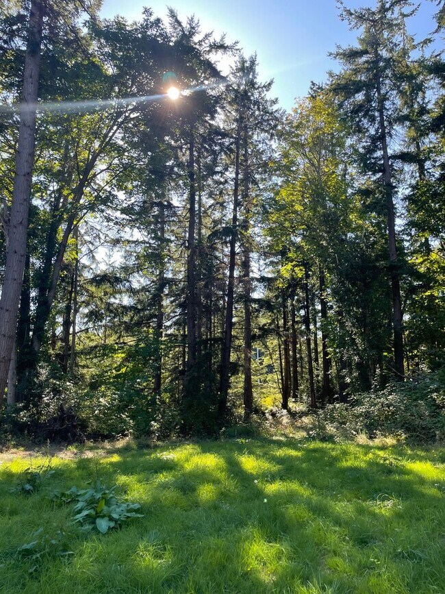 Building Photo - Newer Double Bluff Home In The Woods!