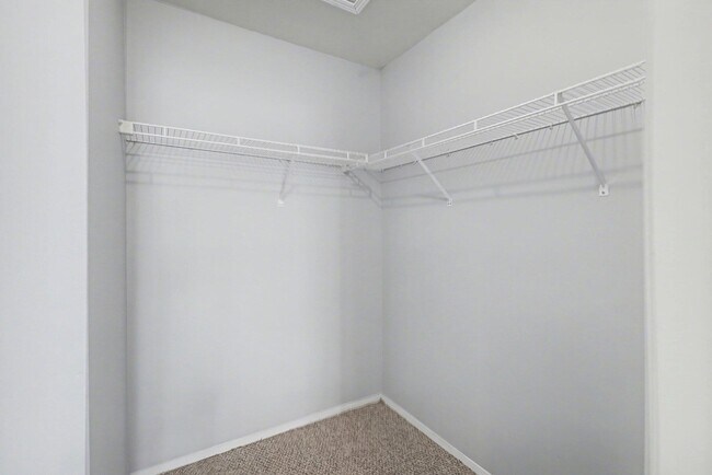 Building Photo - 3036 Forest Creek Ct