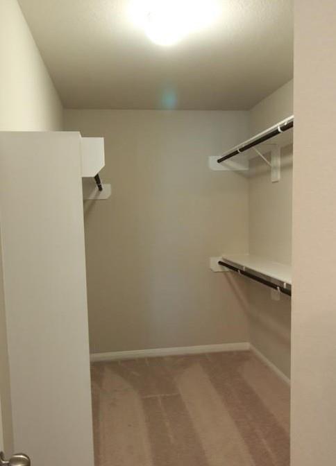 Building Photo - 3010 Orchid Ranch Dr