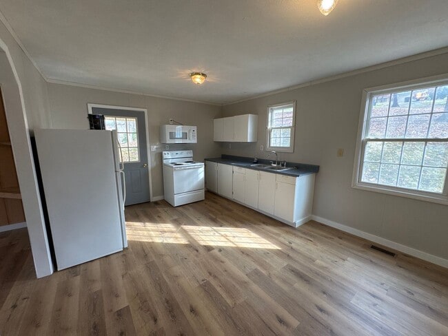 Building Photo - House in Grand Rivers