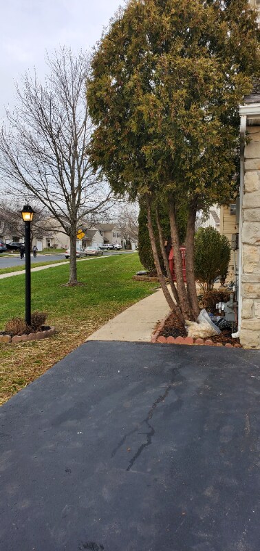 Building Photo - 1181 Cobblestone Cir