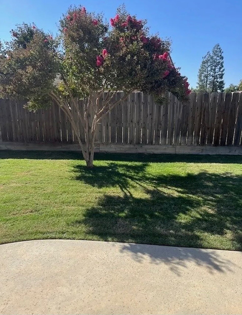 Building Photo - 5444 W Sunnyside Ct