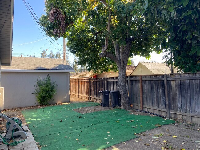 Spacious back yard - 462 Kuehnis Dr