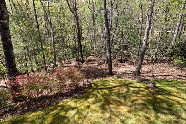 Building Photo - Lovely Home - Beautiful Wooded Setting