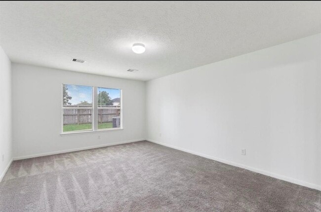 Building Photo - 16119 Peach Bluff Ln