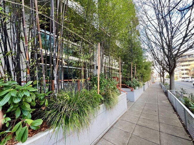 Primary Photo - Veer Lofts Condominiums - South Lake Union