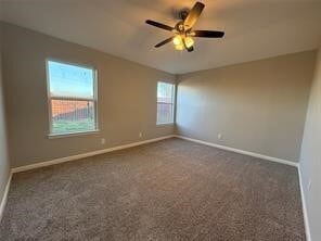 Building Photo - 5022 Canyon Blanco Dr