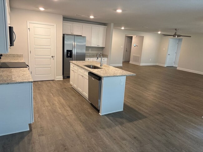 Building Photo - Newly built 4 Br 2 Ba Home