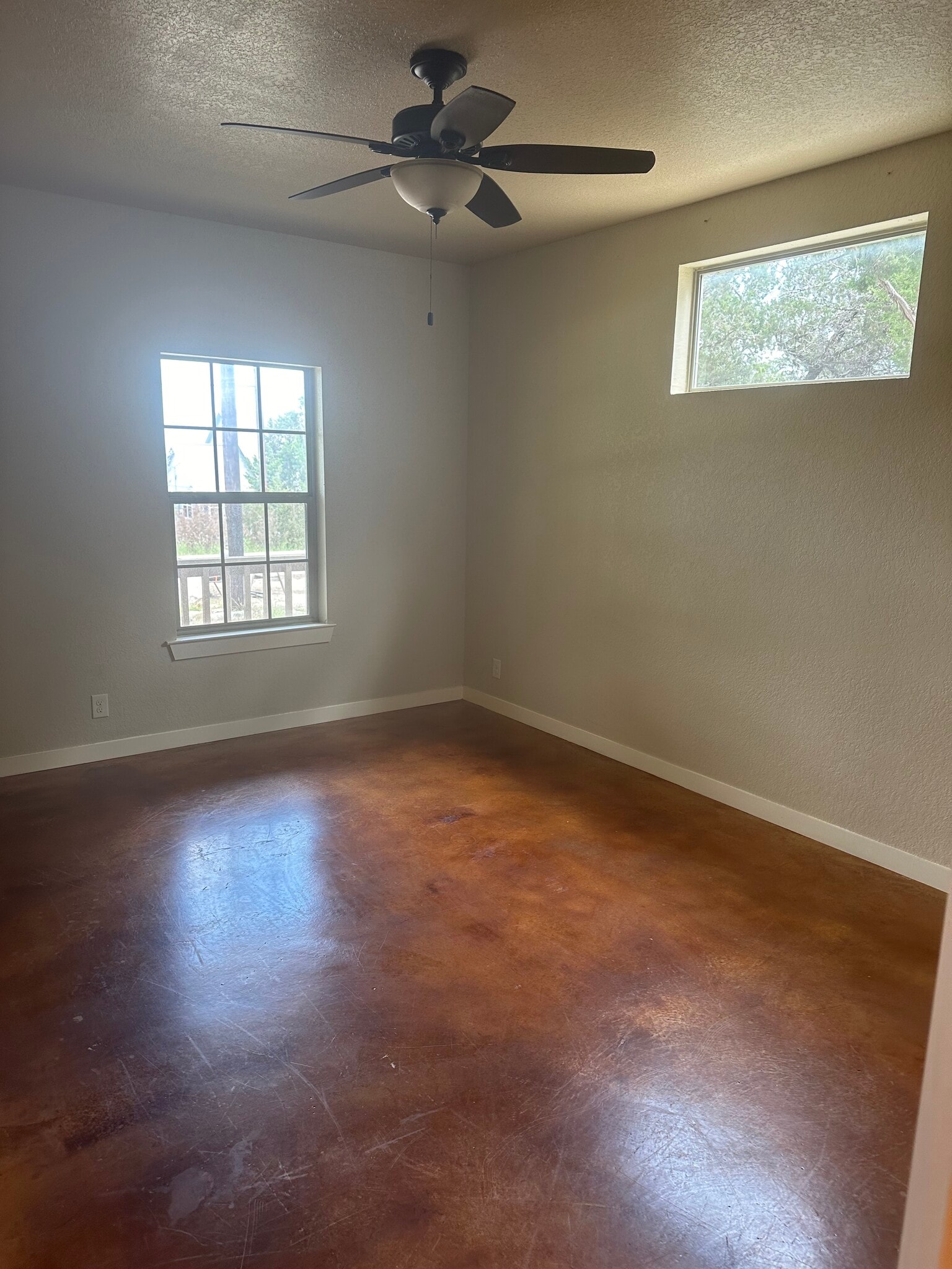 Building Photo - 1005 Live Oak Dr