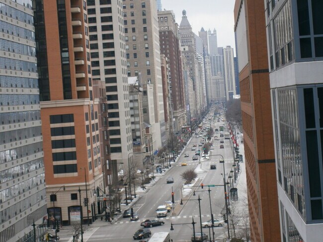 Building Photo - 1305 S Michigan Ave