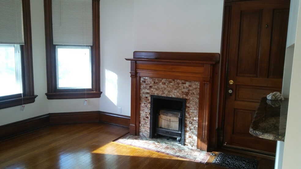 living room with decorative fireplace (not funtional) - 1562 E Irving Plz