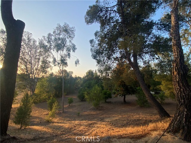 Building Photo - 35450 Calle Nopal