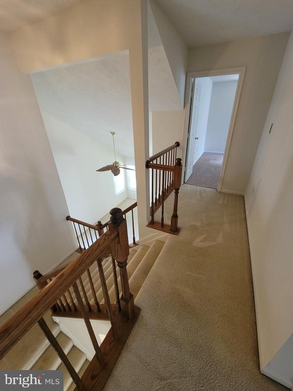 Building Photo - 6406 Bear Ct