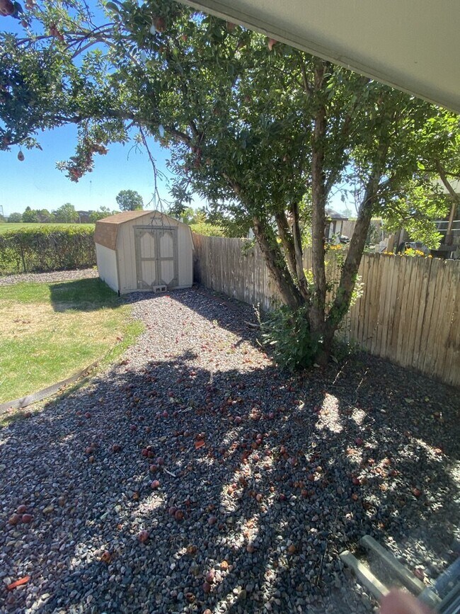 Building Photo - AVAILABLE IMMEDIATELY! Five bedroom house ...