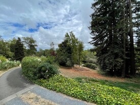 View from Front Porch - 1485 Timberhill Rd