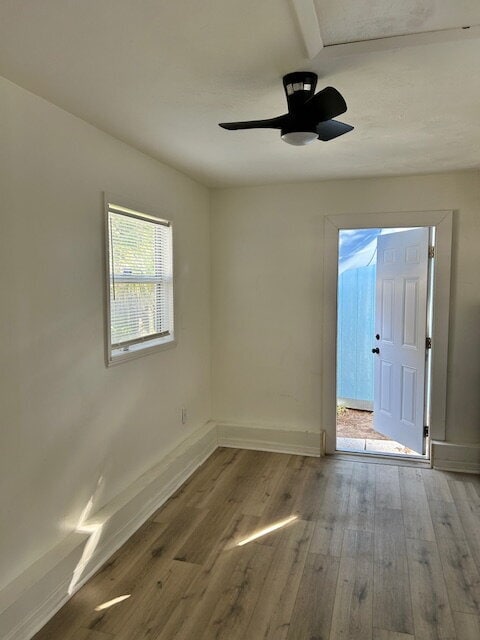 Building Photo - Clearwater - One Bedroom with private entrance
