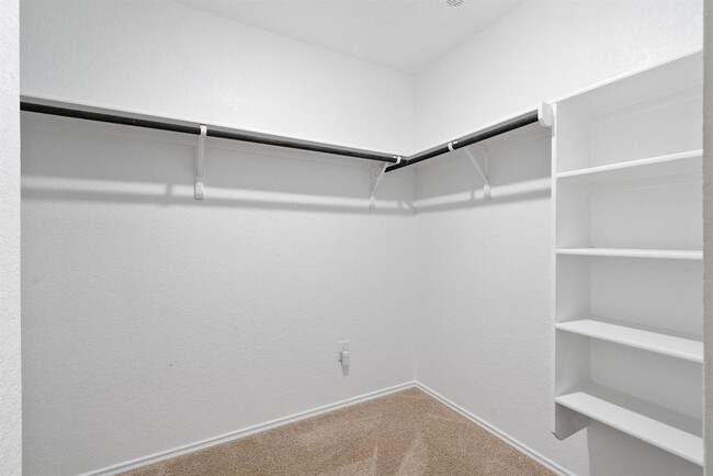 Building Photo - 15101 Siberian Elm Ln
