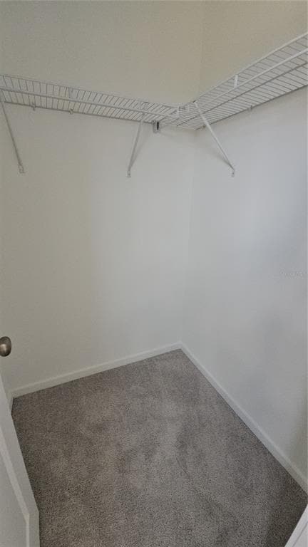 Building Photo - 1230 Orion St