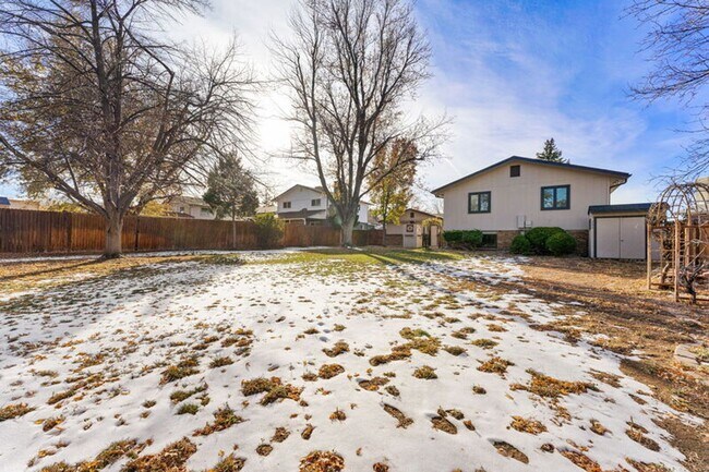 Building Photo - Updated Home in Windsor Park!