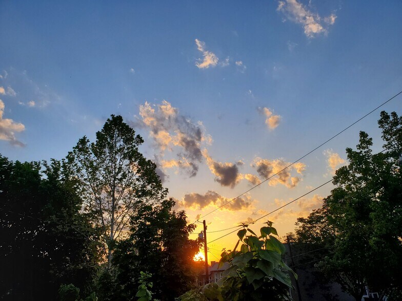 Sunset from Upstairs Window - 4530 9th St NW