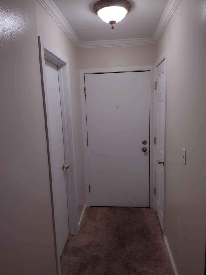 Building Photo - 1813 Hemlock Plz