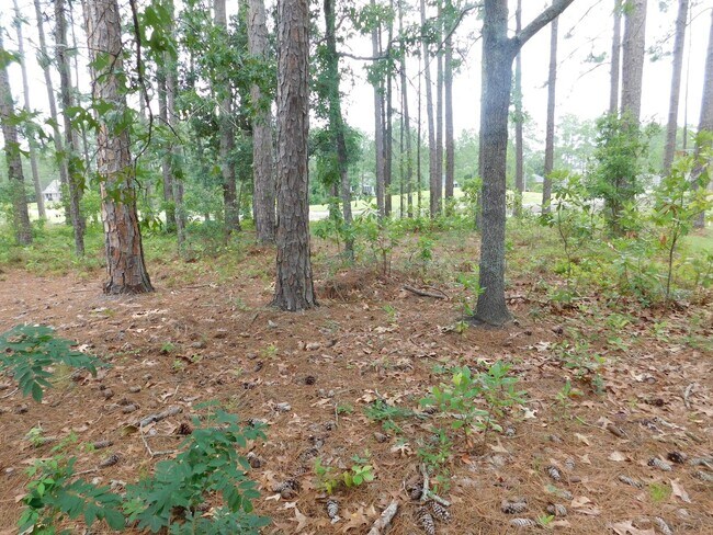 Building Photo - 914 Muirfield Pl