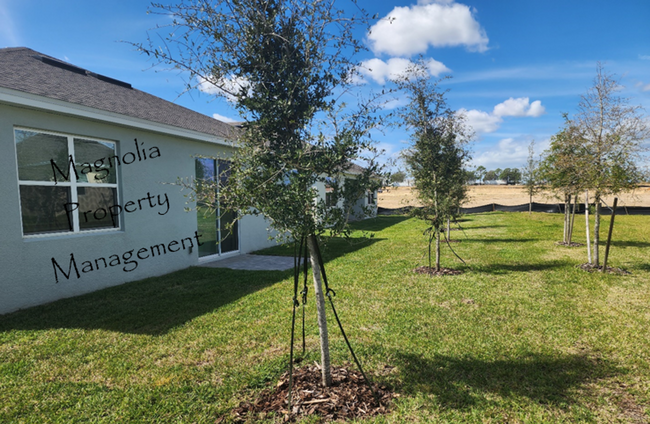 Building Photo - New 4 Bedroom 2 Bathroom Tarpon Bay