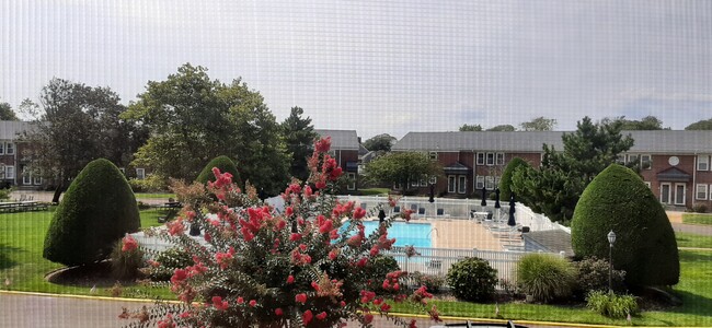 View from condo pool area - 310 Maryland Ave