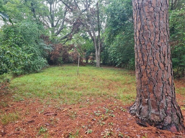 Building Photo - 3444 Audubon Rd