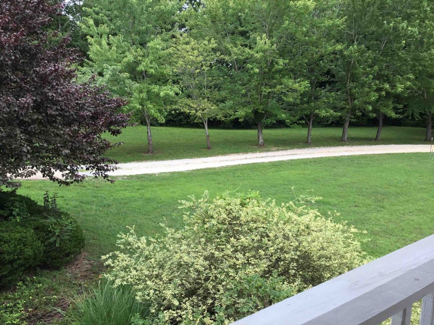 Building Photo - 198 Schools Dr