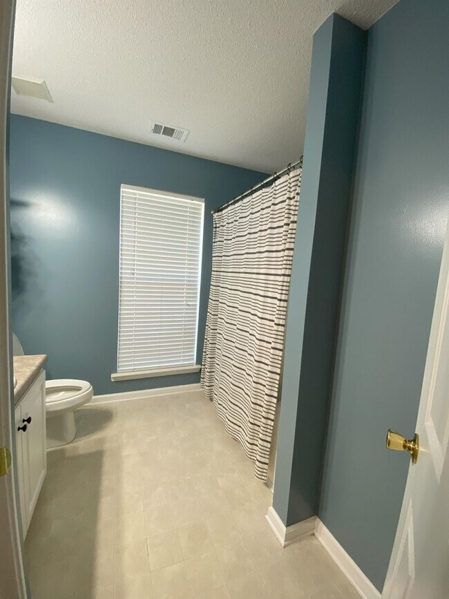 Building Photo - Beautiful 3 Bedroom Home with Fireplace & Private Backyard in Pooler