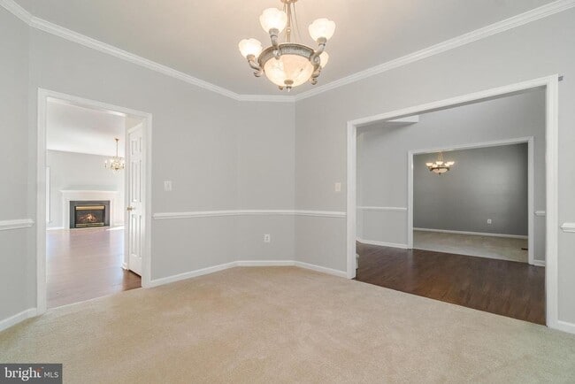 Building Photo - 3603 Carolina Ct