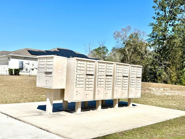 Building Photo - Room to Live, Space to Thrive! Stunning 6BR Home with Solar, Upgrades & Screened Lanai in Macclen...