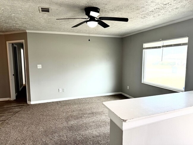 Building Photo - Available Now