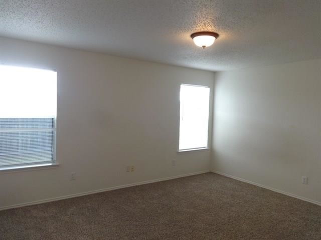Building Photo - 6728 Shadow Creek Dr