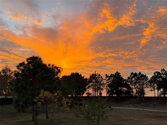 Building Photo - 6154 Hamlin Reserve Blvd