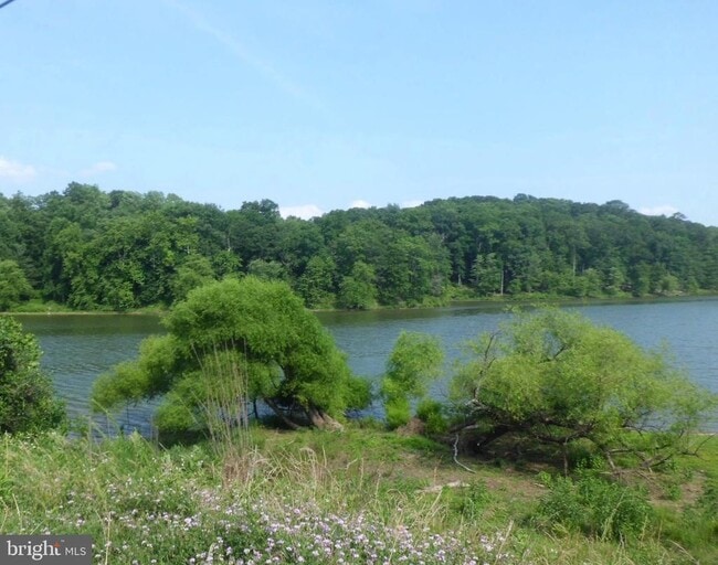 Building Photo - 3808 Delano St