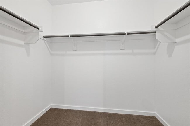 Building Photo - 1304 Salt Lick Dr