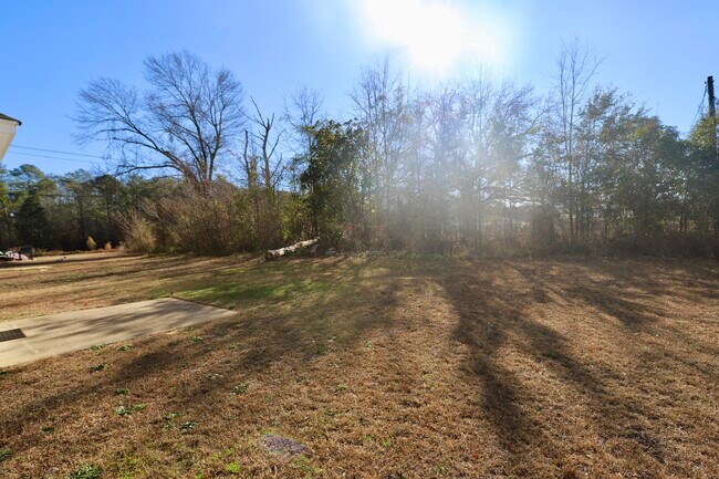 Building Photo - 1009 Providence Plantation Dr