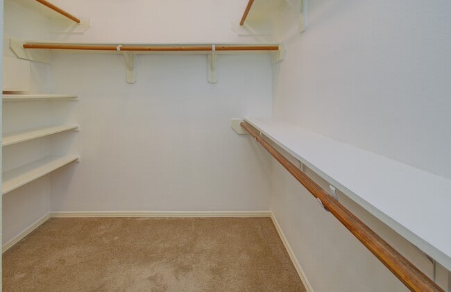 Building Photo - 18731 Cypress Loch Dr