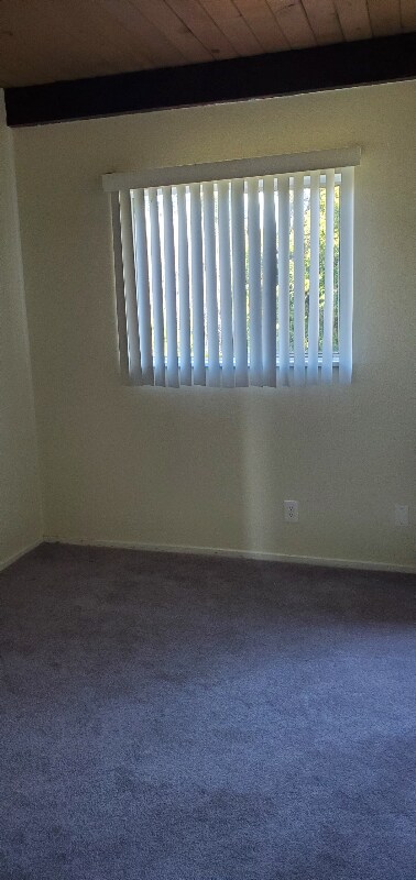 Building Photo - 1478 Carlson Blvd