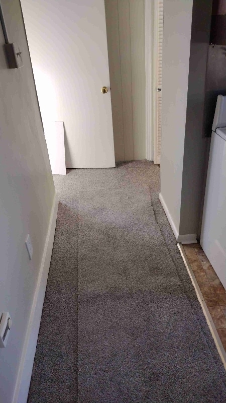 Building Photo - 12 Strasburg Pike